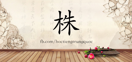 4862 - 指南针 - Hsk6 - Từ điển Tam Ngữ 5099 Từ Vựng Hsk 1-6