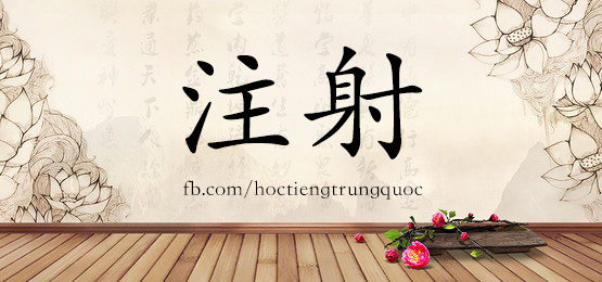 4862 - 指南针 - Hsk6 - Từ điển Tam Ngữ 5099 Từ Vựng Hsk 1-6