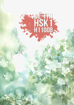 Xem, tải miễn phí đề thi HSK1 có đáp án (Kèm Audio) – Đề H11008.PDF