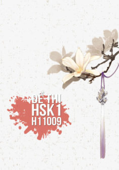Xem, tải miễn phí đề thi HSK1 có đáp án (Kèm Audio) – Đề H11009.PDF