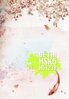 Xem, tải miễn phí đề thi HSK5 có đáp án (Kèm Audio) – Đề H51218.PDF