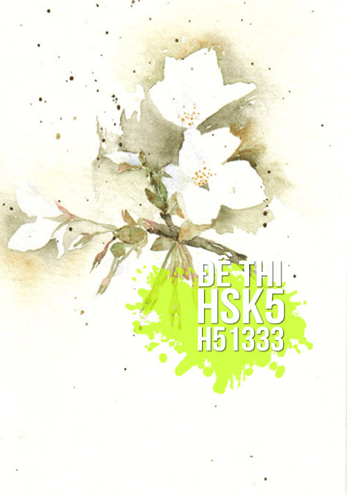 Xem, Tải Miễn Phí đề Thi Hsk5 Có đáp án (kèm Audio) - Đề H50000.pdf