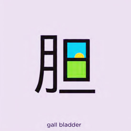 Giải nghĩa, hướng dẫn viết các nét – 胆