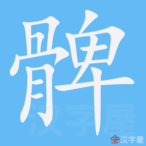 Giải nghĩa, hướng dẫn viết các nét - 髀