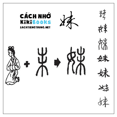 Tài liệu Online – Sách Chiết tự 2102 – 913 từ đơn – Chương 06: Từ 071 – 妹