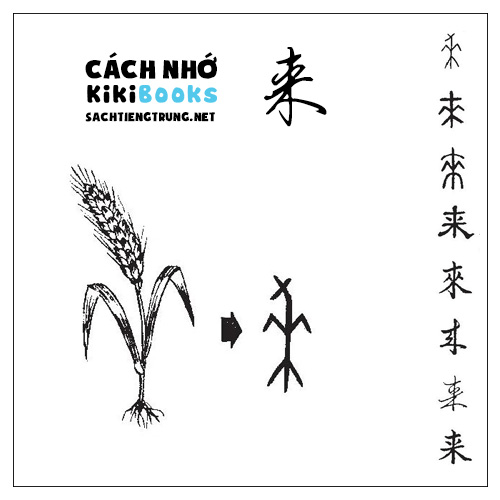 Tài liệu Online – Sách Chiết tự 2102 – 913 từ đơn – Chương 06: Từ 072 – 来