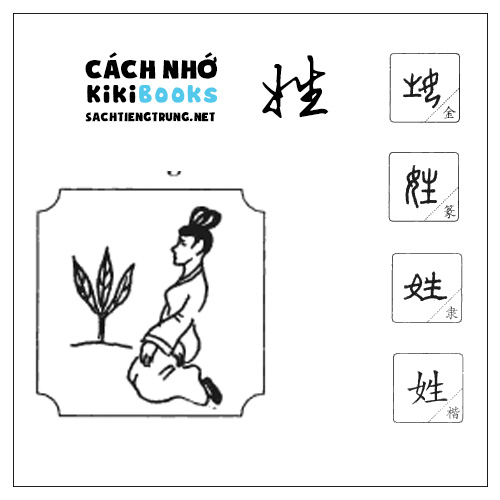 Tài liệu Online – Sách Chiết tự 2102 – 913 từ đơn – Chương 10: Từ 146 – 姓