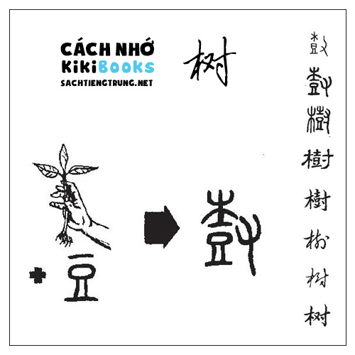 Tài liệu Online – Sách Chiết tự 2102 – 913 từ đơn – Chương 11: Từ 166 – 树