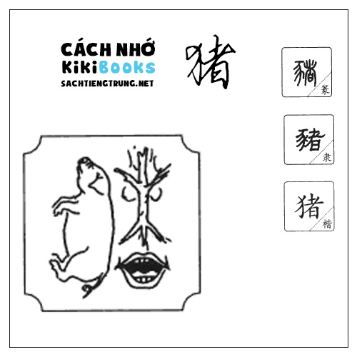 Tài liệu Online – Sách Chiết tự 2102 – 913 từ đơn – Chương 16: Từ 279 – 猪 Tài liệu Online – Sách Chiết tự 2102 – 913 từ đơn – Chương 16: Từ 279 – 猪