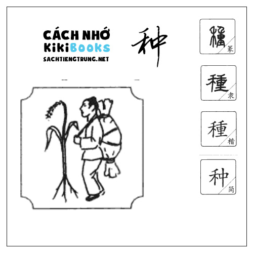 Tài liệu Online – Sách Chiết tự 2102 – 913 từ đơn – Chương 17: Từ 296 – 种