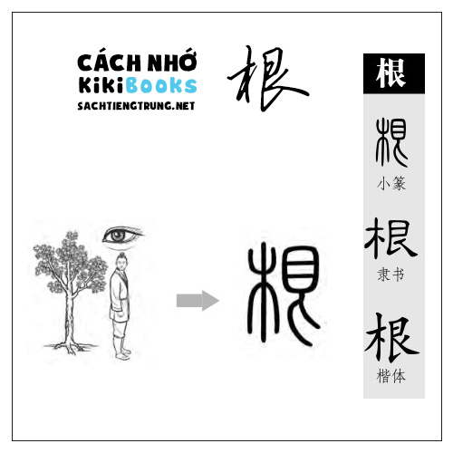 Tài liệu Online – Sách Chiết tự 2102 – 913 từ đơn – Chương 17: Từ 299 – 根