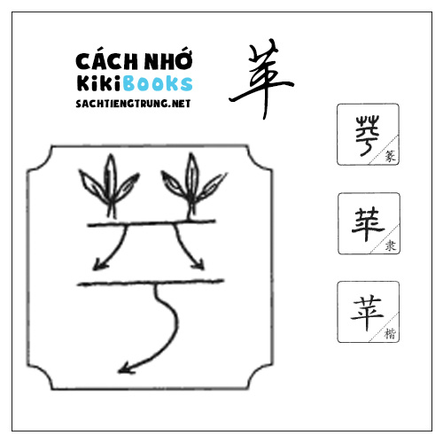 Tài liệu Online – Sách Chiết tự 2102 – 913 từ đơn – Chương 18: Từ 327 – 苹