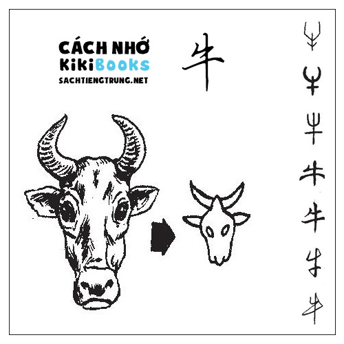 Tài liệu Online – Sách Chiết tự 2102 – 913 từ đơn – Chương 22: Từ 403 – 牛 Tài liệu Online – Sách Chiết tự 2102 – 913 từ đơn – Chương 22: Từ 403 – 牛