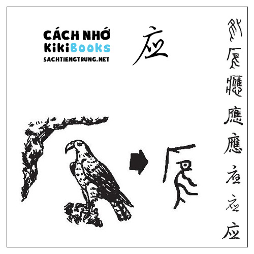 Tài liệu Online – Sách Chiết tự 2102 – 913 từ đơn – Chương 22: Từ 407 – 应 Tài liệu Online – Sách Chiết tự 2102 – 913 từ đơn – Chương 22: Từ 407 – 应