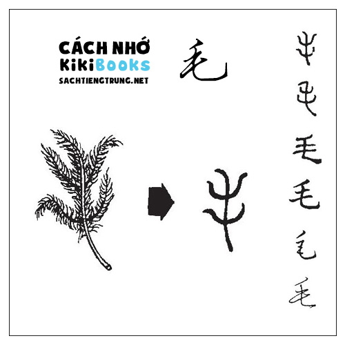 Tài liệu Online – Sách Chiết tự 2102 – 913 từ đơn – Chương 25: Từ 476 – 毛 Tài liệu Online – Sách Chiết tự 2102 – 913 từ đơn – Chương 25: Từ 476 – 毛