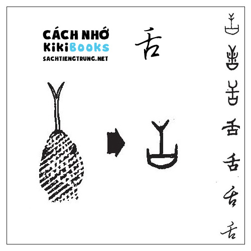 Tài liệu Online – Sách Chiết tự 2102 – 913 từ đơn – Chương 26: Từ 480 – 舌 Tài liệu Online – Sách Chiết tự 2102 – 913 từ đơn – Chương 26: Từ 480 – 舌