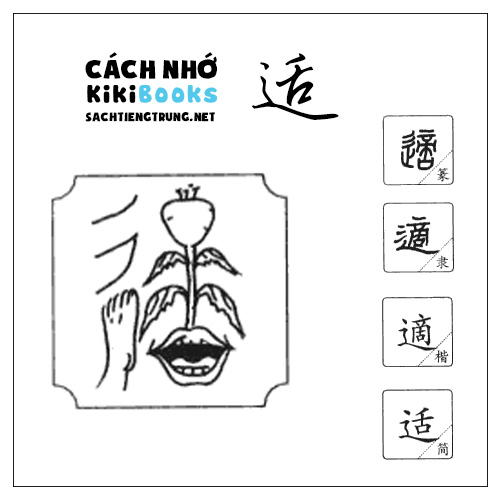 Tài liệu Online – Sách Chiết tự 2102 – 913 từ đơn – Chương 26: Từ 482 – 适 Tài liệu Online – Sách Chiết tự 2102 – 913 từ đơn – Chương 26: Từ 482 – 适