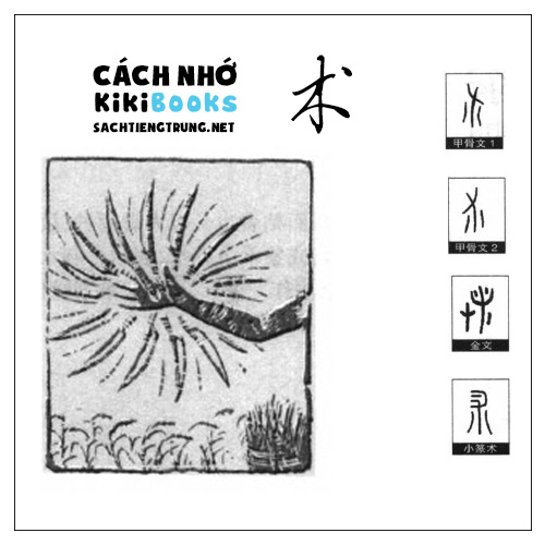 Tài liệu Online – Sách Chiết tự 2102 – 913 từ đơn – Chương 26: Từ 484 – 术 Tài liệu Online – Sách Chiết tự 2102 – 913 từ đơn – Chương 26: Từ 484 – 术