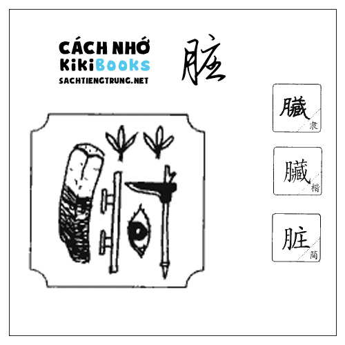 Tài liệu Online – Sách Chiết tự 2102 – 913 từ đơn – Chương 28: Từ 543 – 脏 Tài liệu Online – Sách Chiết tự 2102 – 913 từ đơn – Chương 28: Từ 543 – 脏