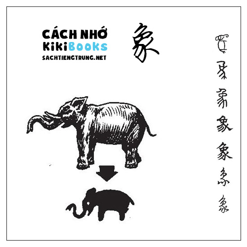 Tài liệu Online – Sách Chiết tự 2102 – 913 từ đơn – Chương 34: Từ 734 – 象