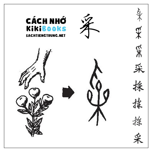 Tài liệu Online – Sách Chiết tự 2102 – 913 từ đơn – Chương 37: Từ 811 – 采