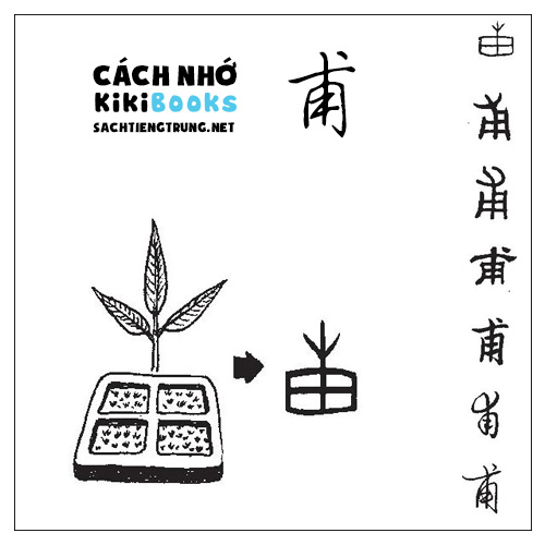 Tài liệu Online – Sách Chiết tự 2102 – 913 từ đơn – Chương 40: Từ 895 – 甫