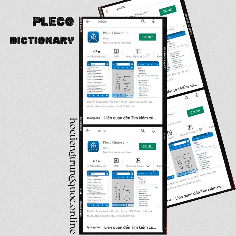 Hướng dẫn cài từ điển Pleco Dictionary trên Android