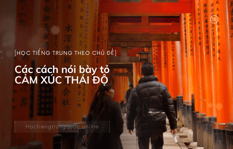 Các cách nói bày tỏ CẢM XÚC THÁI ĐỘ với ai đó
