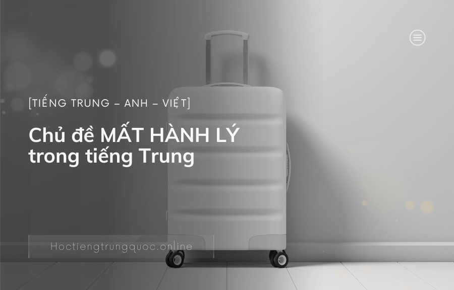 Chủ đề MẤT HÀNH LÝ trong tiếng Trung