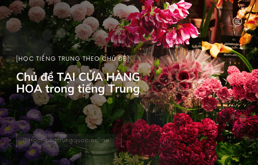 Chủ đề TẠI CỬA HÀNG HOA trong tiếng Trung
