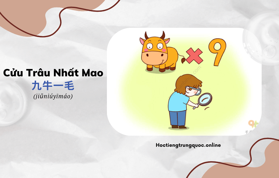 Thành ngữ Trung Hoa Cửu Trâu Nhất Mao