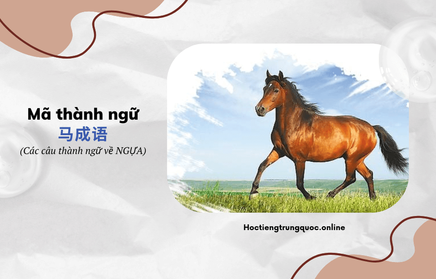 Thành ngữ Trung Quốc Mã thành ngữ