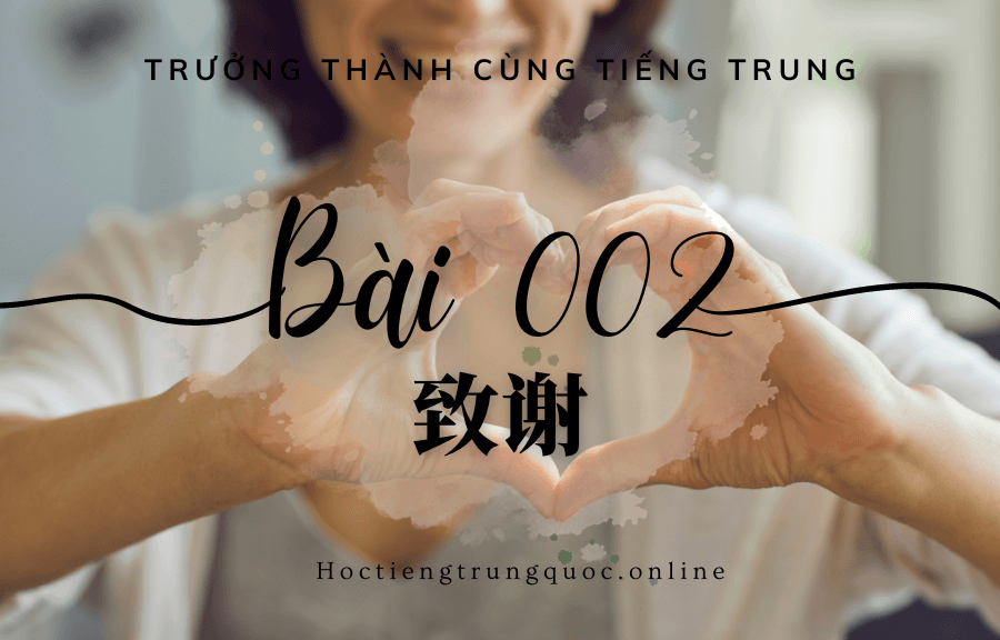 Trưởng thành cùng tiếng Trung - Bài 002