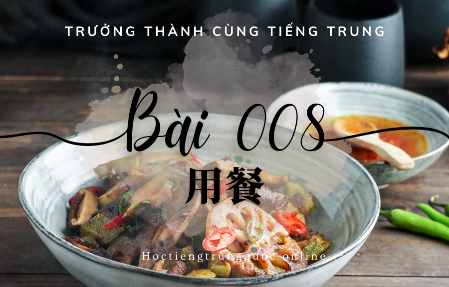 Trưởng thành cùng tiếng Trung - Bài 008