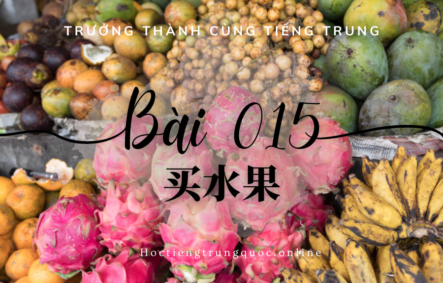 Trưởng thành cùng tiếng Trung - Bài 015