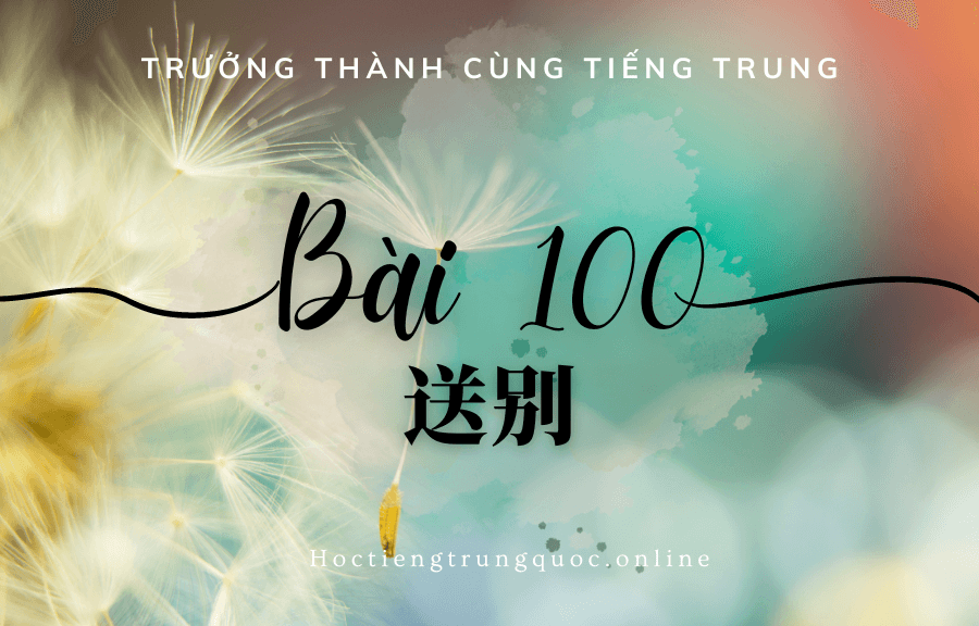 Trưởng thành cùng tiếng Trung - Bài 100