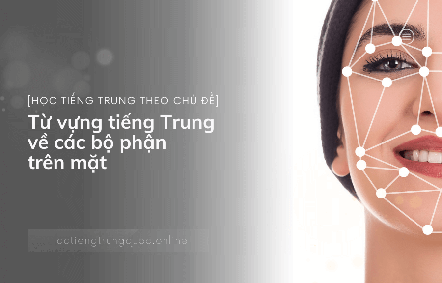 Từ vựng tiếng Trung về các bộ phận trên mặt