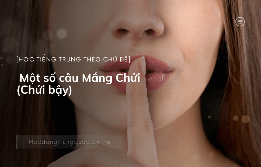 Một số câu Mắng Chửi (Chửi bậy)