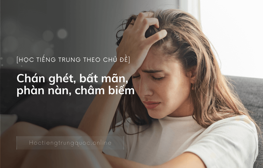Chủ đề thái độ tiêu cực_ Chán ghét, bất mãn, phàn nàn, châm biếm