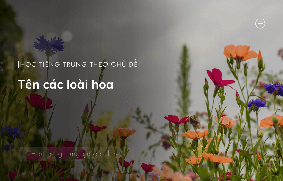 Tên các loài HOA trong tiếng Trung