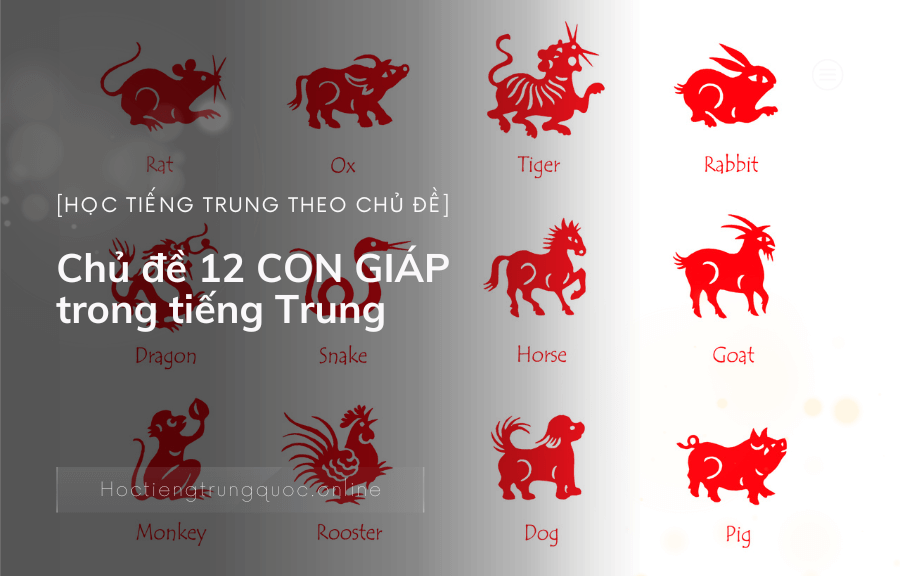 Chủ đề 12 CON GIÁP trong tiếng Trung