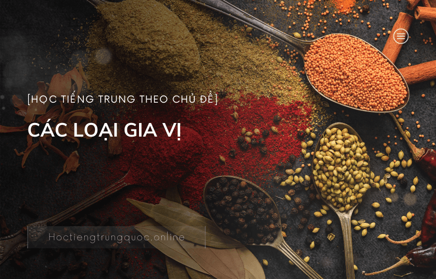 Chủ đề CÁC LOẠI GIA VỊ trong tiếng Trung