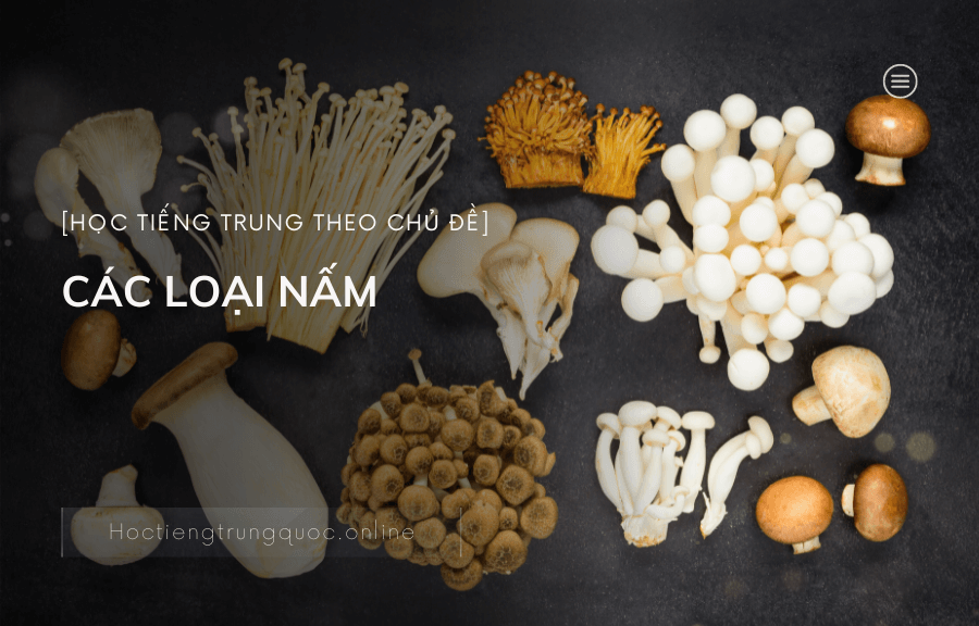 Chủ đề CÁC LOẠI NẤM trong tiếng Trung