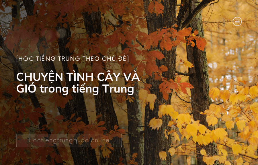 Chủ đề CHUYỆN TÌNH CÂY VÀ GIÓ trong tiếng Trung