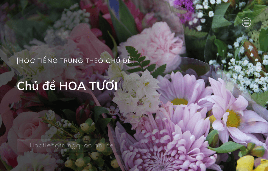 Chủ đề HOA TƯƠI trong tiếng Trung