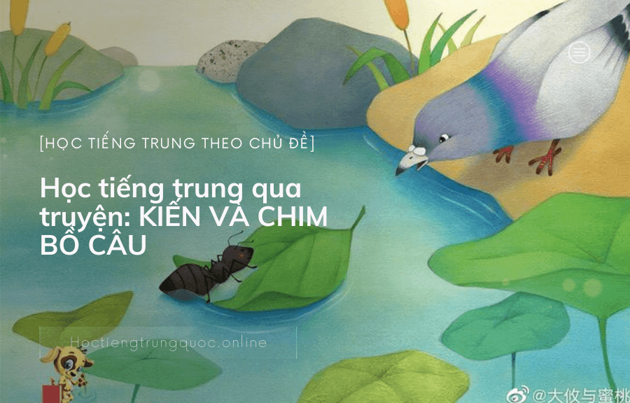 Chủ đề Học tiếng trung qua truyện KIẾN VÀ CHIM BỒ CÂU trong tiếng Trung