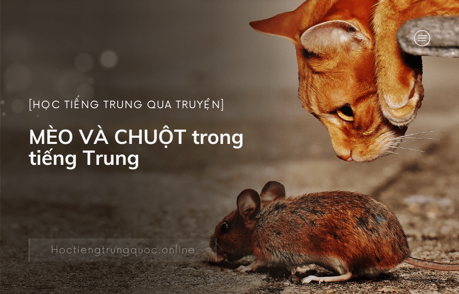 Chủ đề Học tiếng trung qua truyện MÈO VÀ CHUỘT trong tiếng Trung