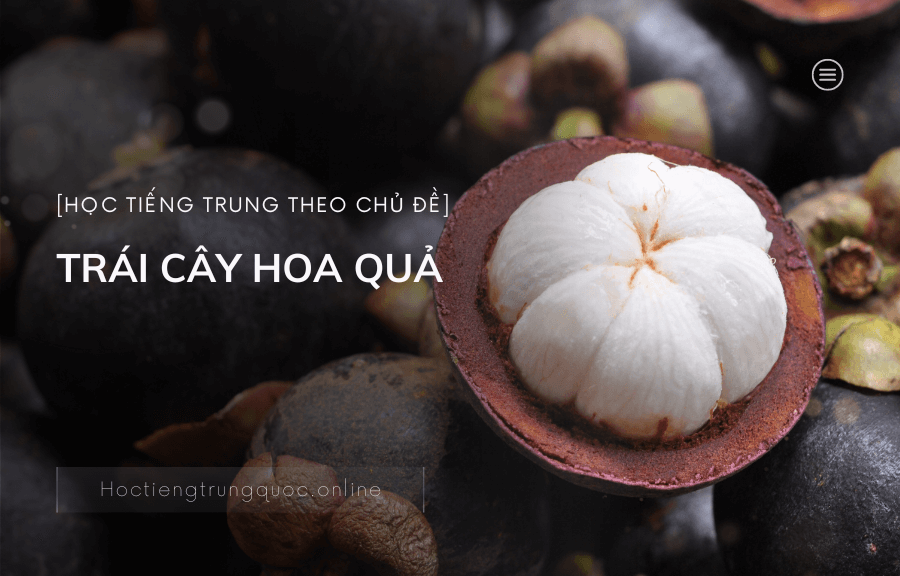 Chủ đề TRÁI CÂY HOA QUẢ trong tiếng Trung