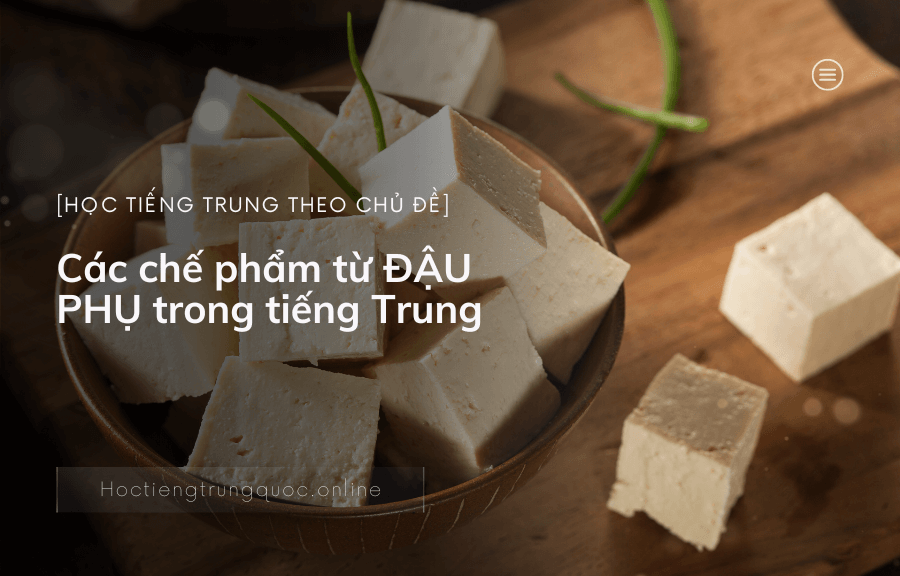 Chủ đề các chế phẩm từ ĐẬU PHỤ trong tiếng Trung