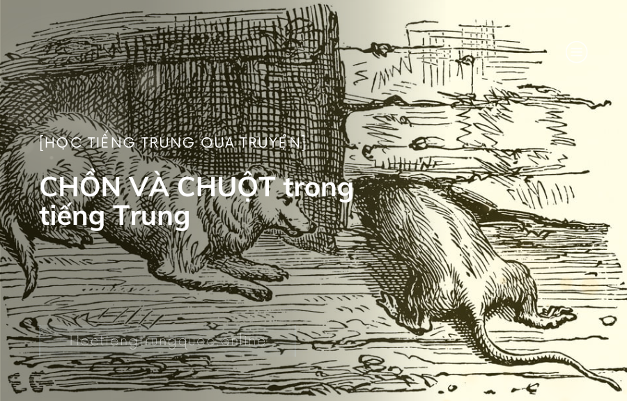Chủ đề câu chuyện CHỒN VÀ CHUỘT trong tiếng Trung